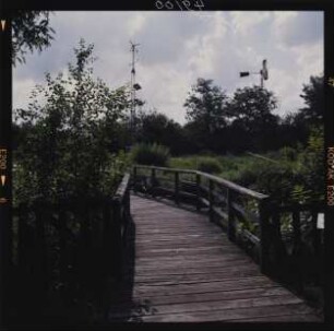 Holzbrücke