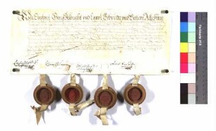 Eberhard, Georg, Albrecht und Karl Schenken zu Limpurg gewähren Hans Jakob von Vohenstein zu Adelmannsfelden eine Expektanz auf das heimfallende Geldlehen des Georg von Rinderbach in Höhe von 2.000 Gulden.