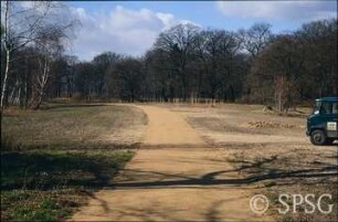 Potsdam, Park Sacrow, Vorbereitung der Gehölzpflanzung östlich der Heilandskirche.