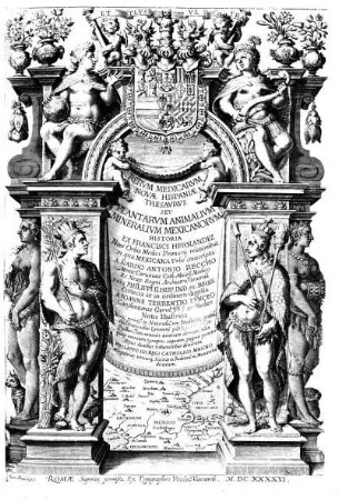 Rerum medicarum Novae Hispaniae thesaurus seu