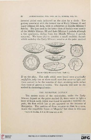 The neolithic deposit