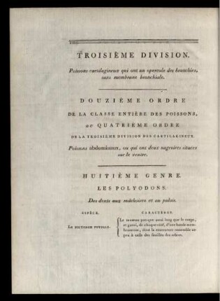 Troisiéme Division Douziéme Ordre