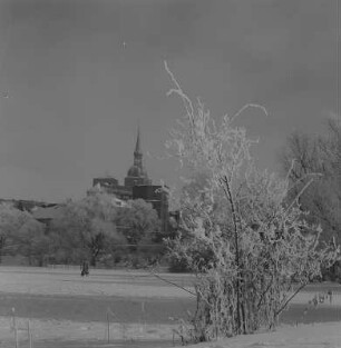 Stralsund. St.-Nikolai-Kirche, von Osten