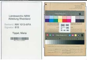 Entnazifizierung Maria Tippel , geb. 04.09.1905 (Metzger)