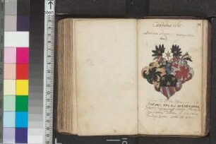 Oppenrieder, Manasses; Blatt 91
