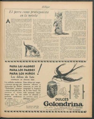 El perro como protagonista en la novela