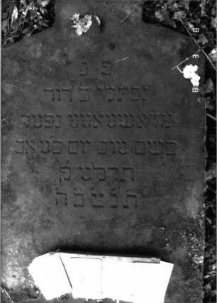Grabstein 1035 (Detailaufnahme)