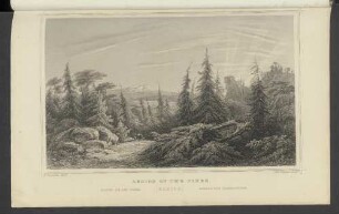 Region of the pines.
