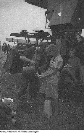 Ebersbach-Kalkreuth und Zabeltitz-Stroga. Getreide, Ernte, Juli 1953