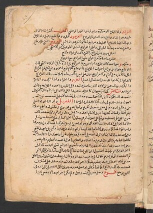 Ḥayāt al-ḥayawān al-kubrā