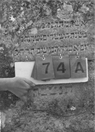 Grabstein 74 (Index: 100008879) Zustand: obere Hälfte und linker Rand abgebröckelt Maße HxBxT: 99x58x9 cm: Grabstein 74A