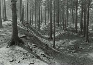 Ringwall Hohenforst
