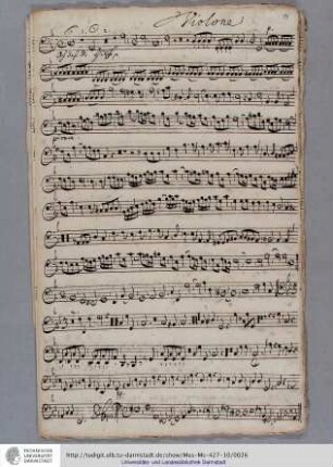 Violone