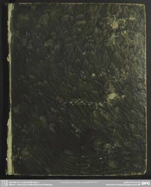 Observationum Iuris Criminalis Specimen Primum