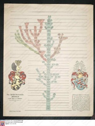 Stammtafel des Fürstenhauses Hessen-Brabant