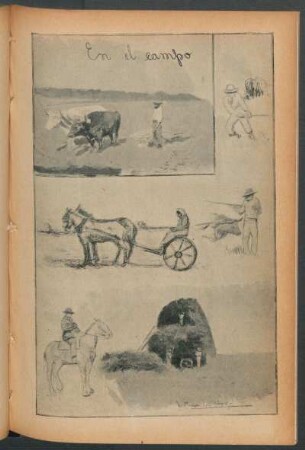 En el campo - [Dibujo]