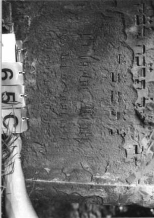 Grabstein 65 (Index: 100110832) Material: Sandstein Zustand: stark verwittert mit Abschieferungen, geringer Textverlust, beschädigt, in der Mitte auseinandergebrochen und wieder zusammengesetzt, schwarz ausgemalte Schrift Maße HxBxT: 159x101x28 cm Beschreibung: Stele, Rundbogenabschluß mit Rundbogenfries und Verdachung, Schriftfelder eingetieft: Grabstein 65C