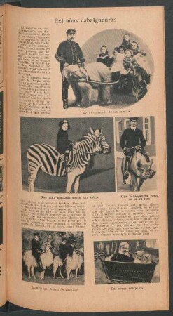 Extrañas cabalgaduras
