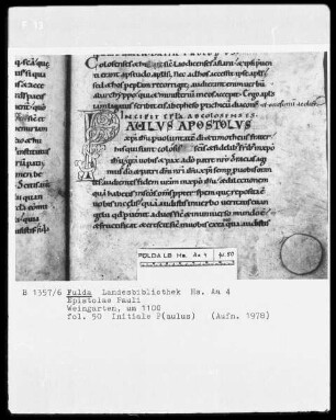 Paulusbriefe — Initiale P(aulus apostolus), Folio 50recto