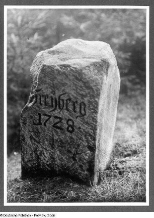 Freiberg (Sachsen), Hospitalwald, Rainstein von 1728 mit der Inschrift: Freiberg 1728