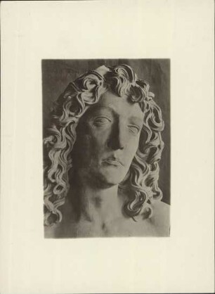 Würzburg. Kopf der berühmtem Adamsfigur von Tilmann Riemenschneider : Würzburg. Kopf der Adamsfigur von Tilmann Riemenschneider am Südportal der Marienkapelle