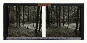 Schachtpinge (18. Jahrhundert), Pickelsberg bei Fischbach, südliches Waldeck