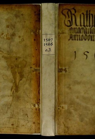 Ratsprotokolle, 1567 Juli 31. - 1568 Aug. 1.