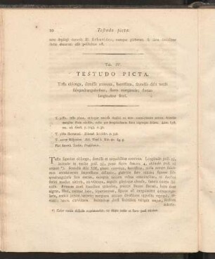 Tab. IV: Testudo Picta