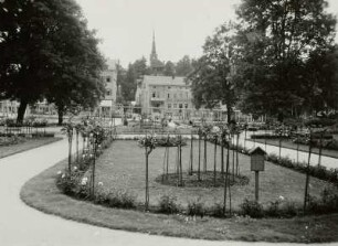Bad Elster, Rosengarten : Bad Elster. Rosengarten. Blick gegen den Turm der Stadtkirche Sankt Trinitatis