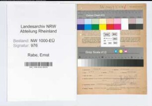 Entnazifizierung Ernst Rabe, geb. 14.12.1885 (Ingenieur)