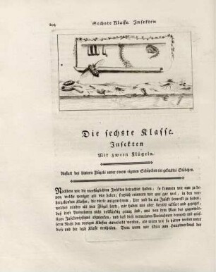 Die sechste Klasse. Insekten mit zween Flügeln.