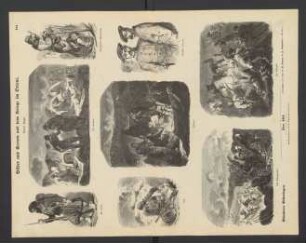 Bilder und Scenen aus dem Kriege im Orient, dritter Bogen