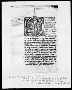 Psalterium mit Kalender — Initiale D (ixit insipiens), darin ein Heiliger, Folio 42verso