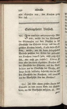 Siebenzehnter Versuch