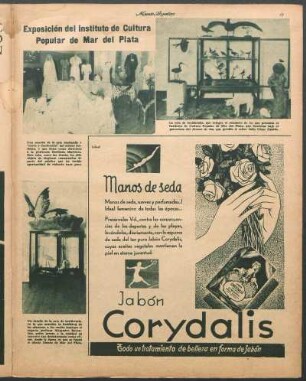 Exposición del Instituto de Cultura Popular de Mar del Plata [Fotografías]