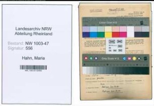 Entnazifizierung Maria Hahn , geb. 20.04.1894 (Lehrerin)