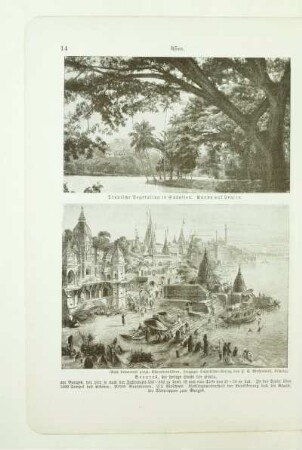 Tropische Vegetation in Südasien. Kandy auf Ceylon