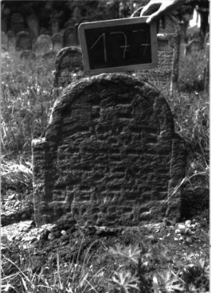 Grabstein 177 (Index: 100103378) Material: Sandstein Zustand: stark verwittert, teilweiser Textverlust, eingesunken Maße HxBxT: 62x55x11 cm Beschreibung: Stele, unregelmäßig eingezogener Rundbogenabschluss, Schriftfeld eingetieft: Grabstein 177