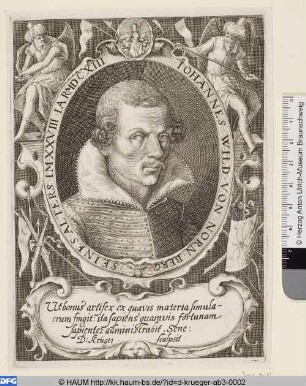 Johannes Wild