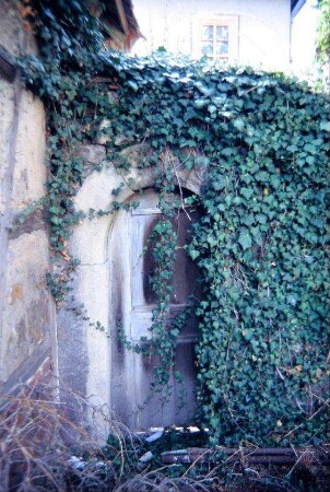 efeubewachsener Durchgang zwischen Kirchhof und Pfarrhof