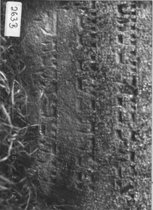 Grabstein 263 (Index: 99786829) Zustand: leicht eingesunken Maße HxBxT: 58x49x6 cm: Grabstein 263B