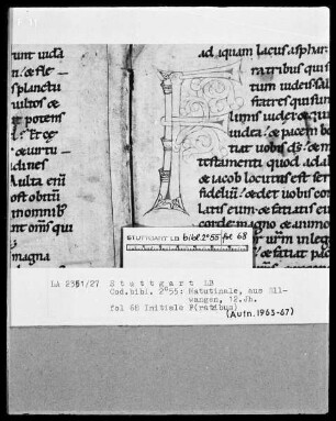 Lectionarium matutinale — Initiale F, Folio 68recto