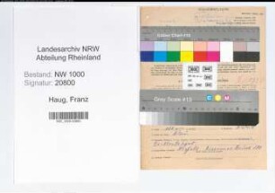 Entnazifizierung Franz Haug, geb. 12.10.1898 (Arzthelfer)