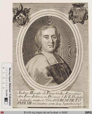 Bildnis Hercule-André de Fleury