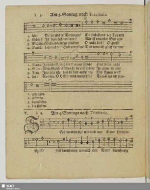V. Am 4. Sontag nach Trinitatis: Seyd barmhertzig wie auch euer Vater