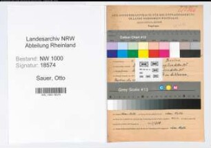 Entnazifizierung Otto Sauer, geb. 01.08.1896 (Verw.Angest.)