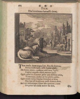 Ferae - Die wilden Thiere
