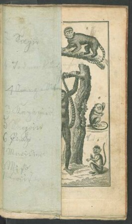 [Tafel, urspr. Frontispiz]