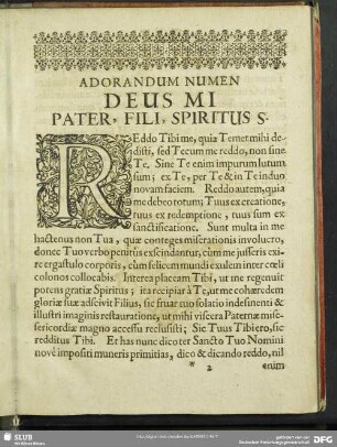 Adorandum Numen Deus Mi Pater, Fili, Spiritus S.
