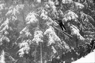 Hinterzarten: Springer